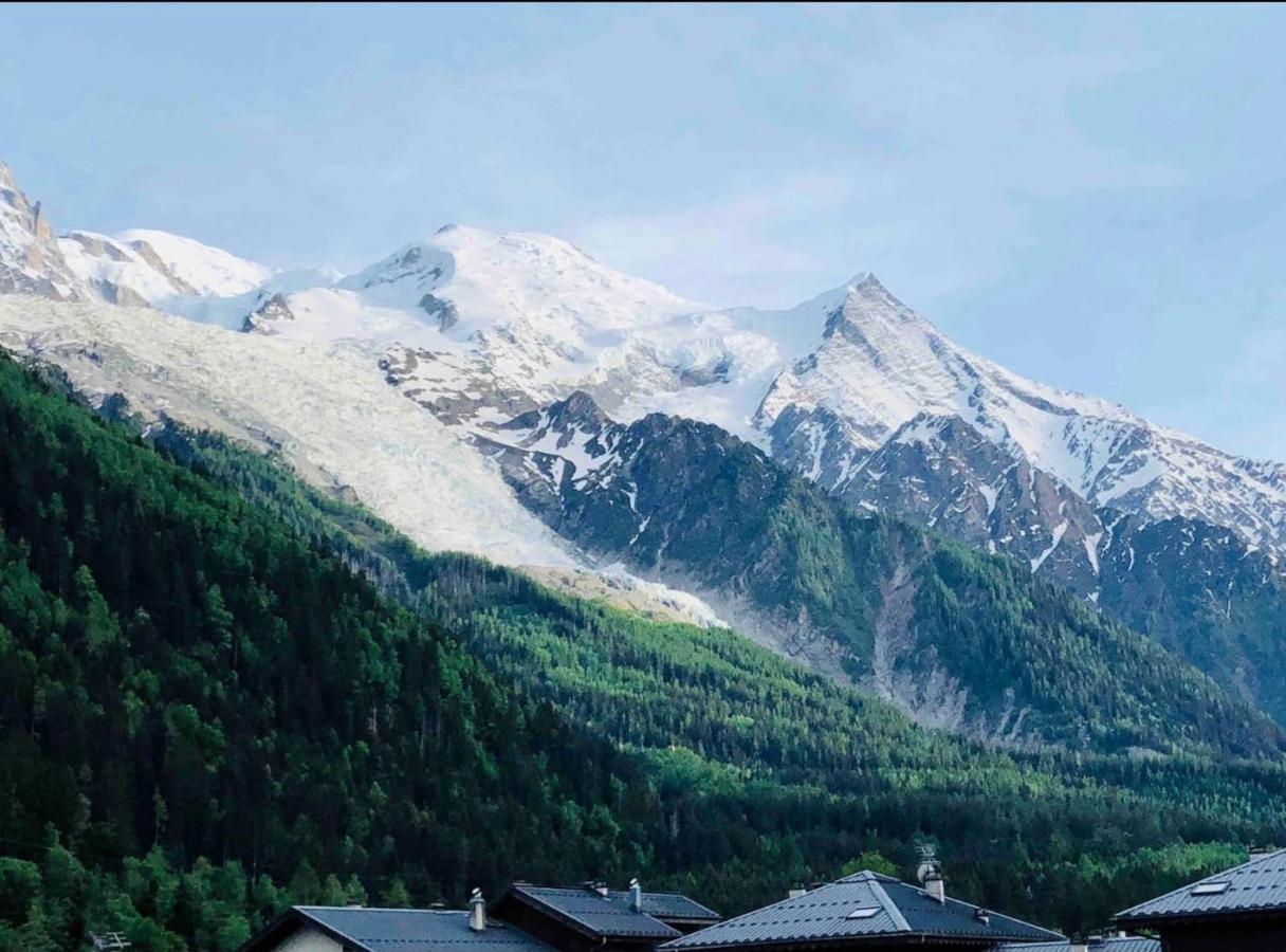 Mont Blanc 25, Vue Mont Blanc, Balcon, Parking Apartamento Chamonix Mont Blanc